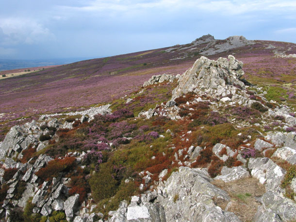 stiperstones_wales