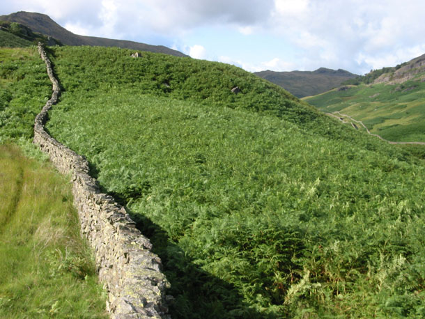 stone_wall_lake_district