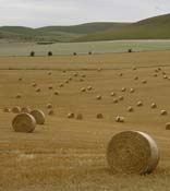 more_hay_near_stonehenge