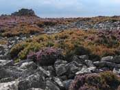 stiperstones_park_wales